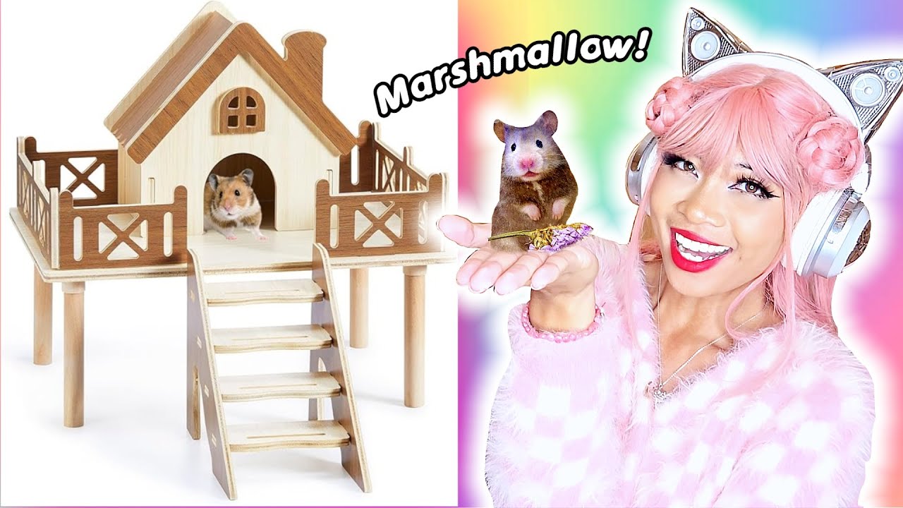 BUYING ANYTHING I WANT FOR MY HAMSTER! #hamster #cute #pets