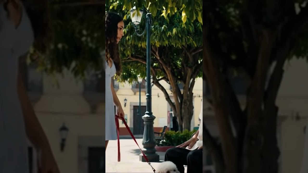 😂🤣😂el perro culazo