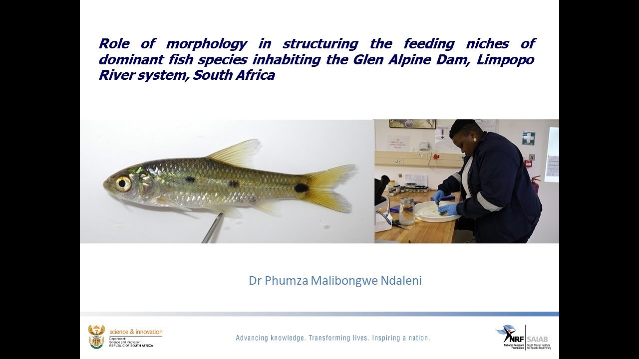 SAIAB Seminar Series 2025: Dr Phumza Malibongwe Ndaleni