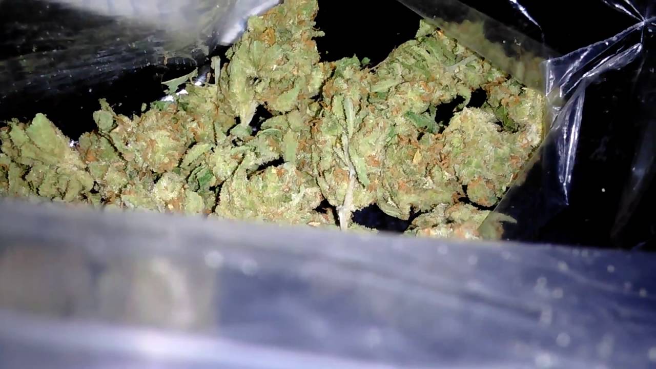 Bag Of Budz Silver LA Weed Strain - Northwest Dank