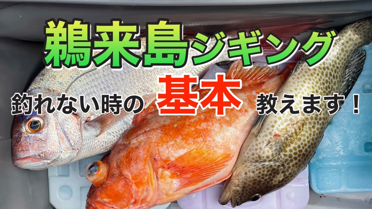 【初心者向け】ジギングで釣れない時に考える事とは？スローピッチジャーク　高知県