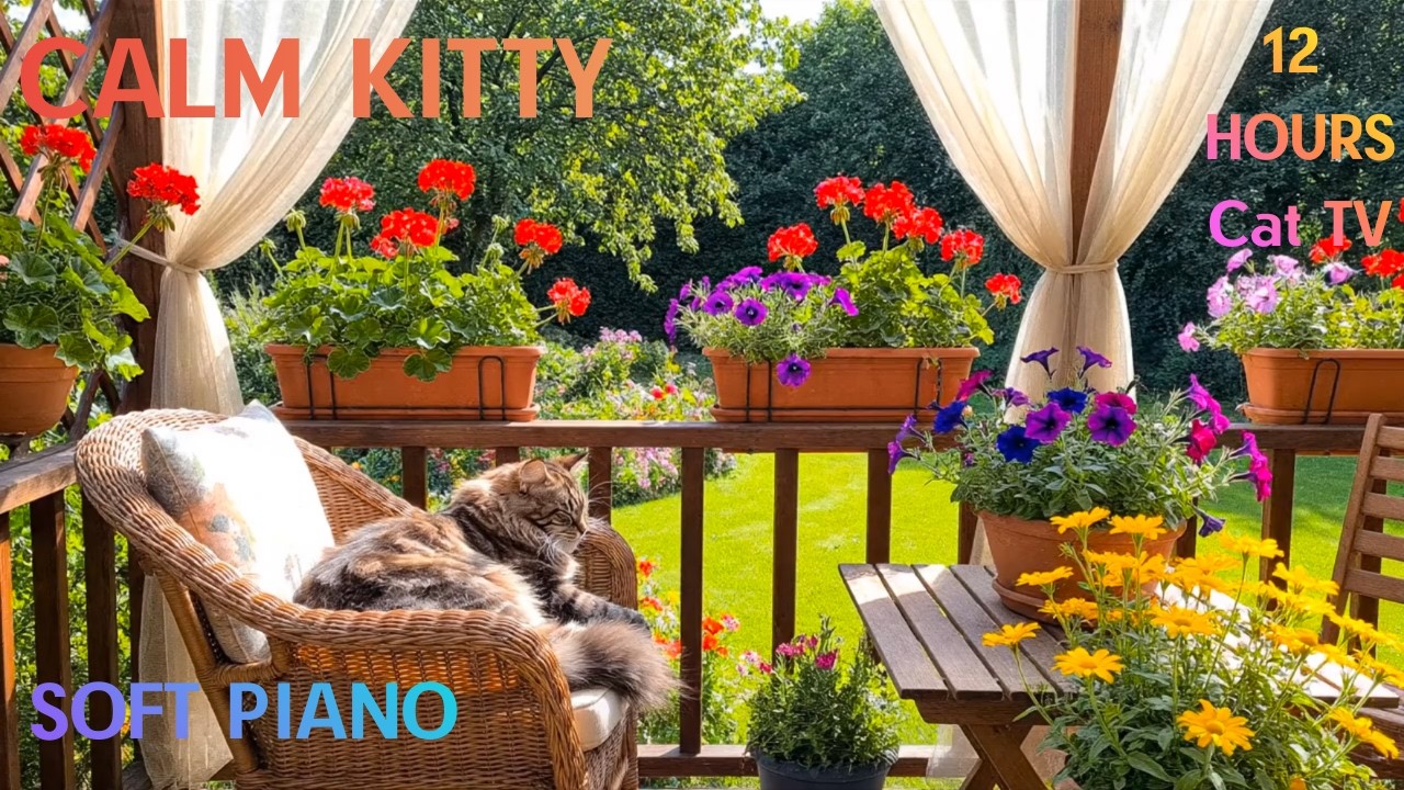 12 ЧАСОВ! Cat TV 🐱 Снятие тревоги и расслабляющая фортепианная музыка для кошек