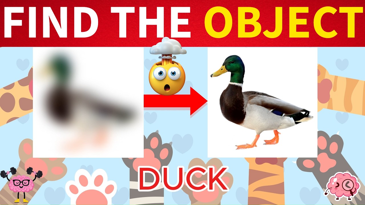 This Blurry Image Test Is HARDER Than You Think🧠 | 👀Friendly Pets ⏳| 😱Easy to Impossible🔥