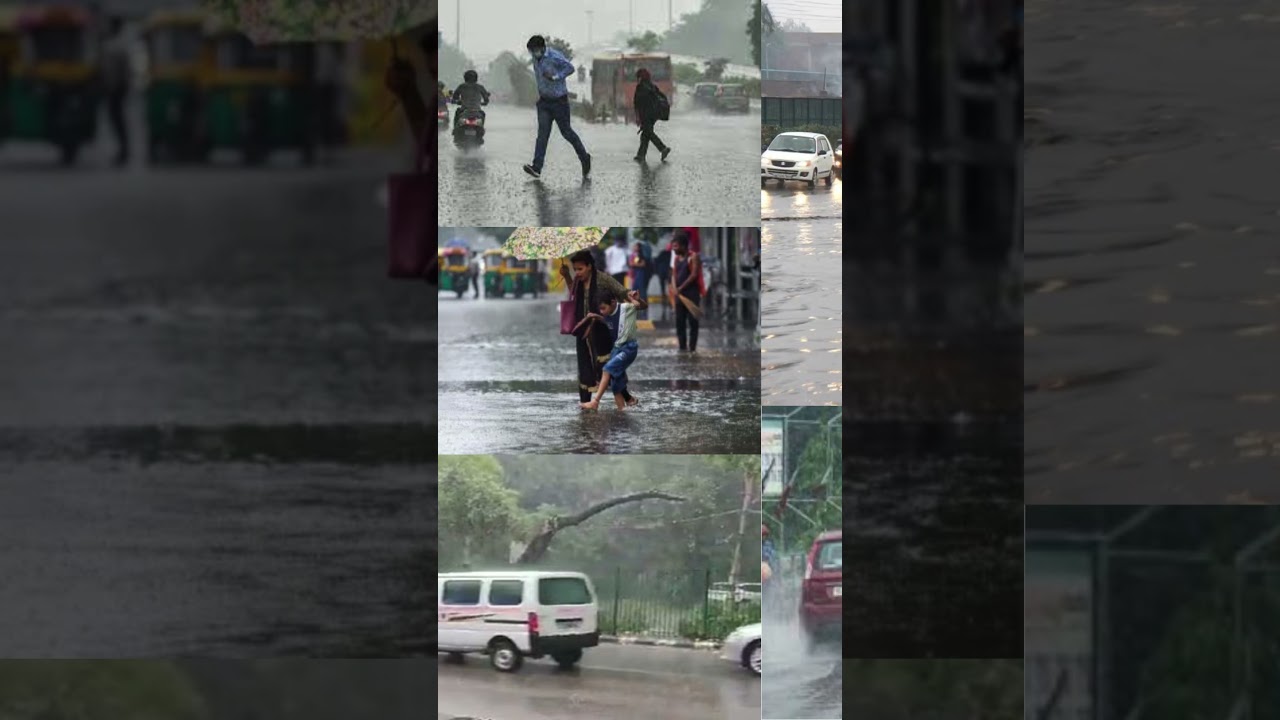 Delhi Ncr rains red alert #weathernews #news