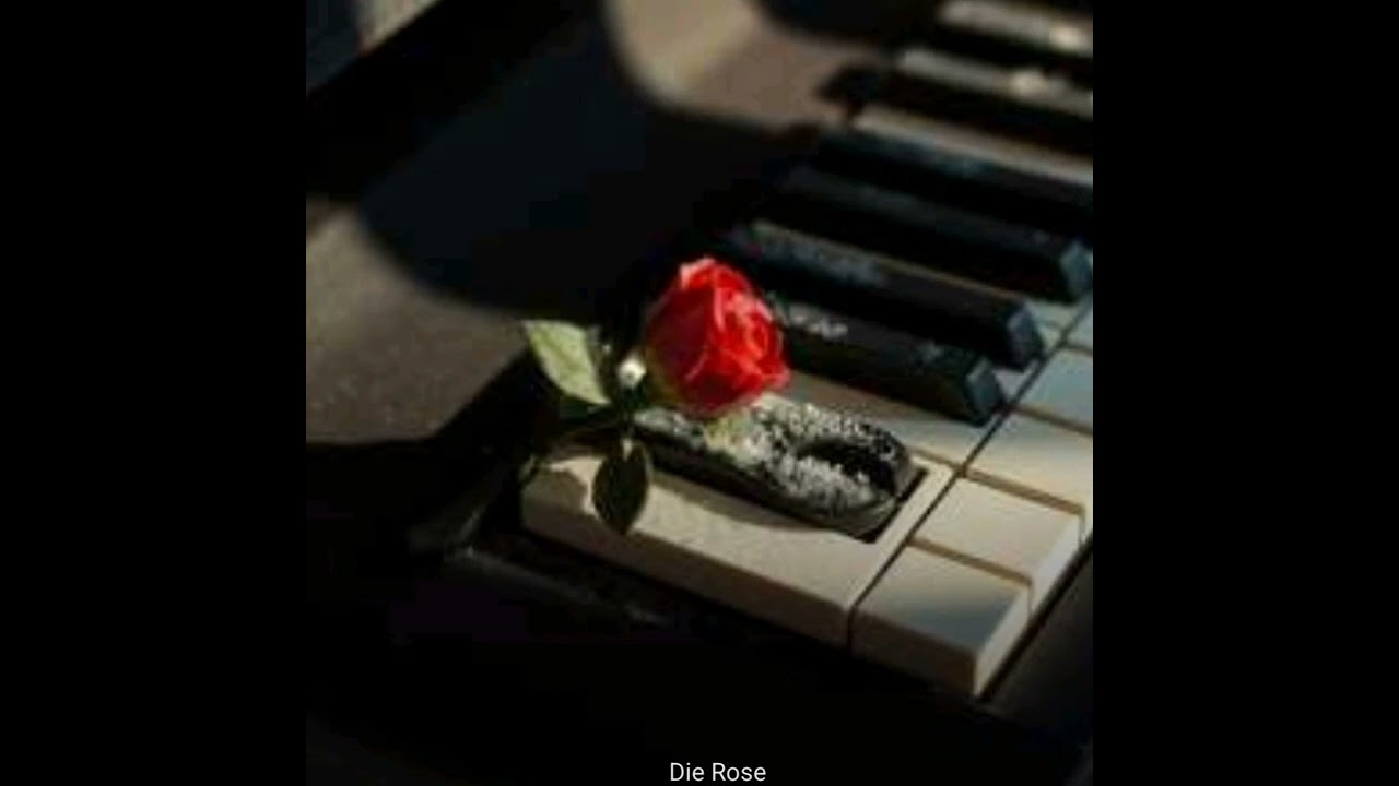 Die Rose
