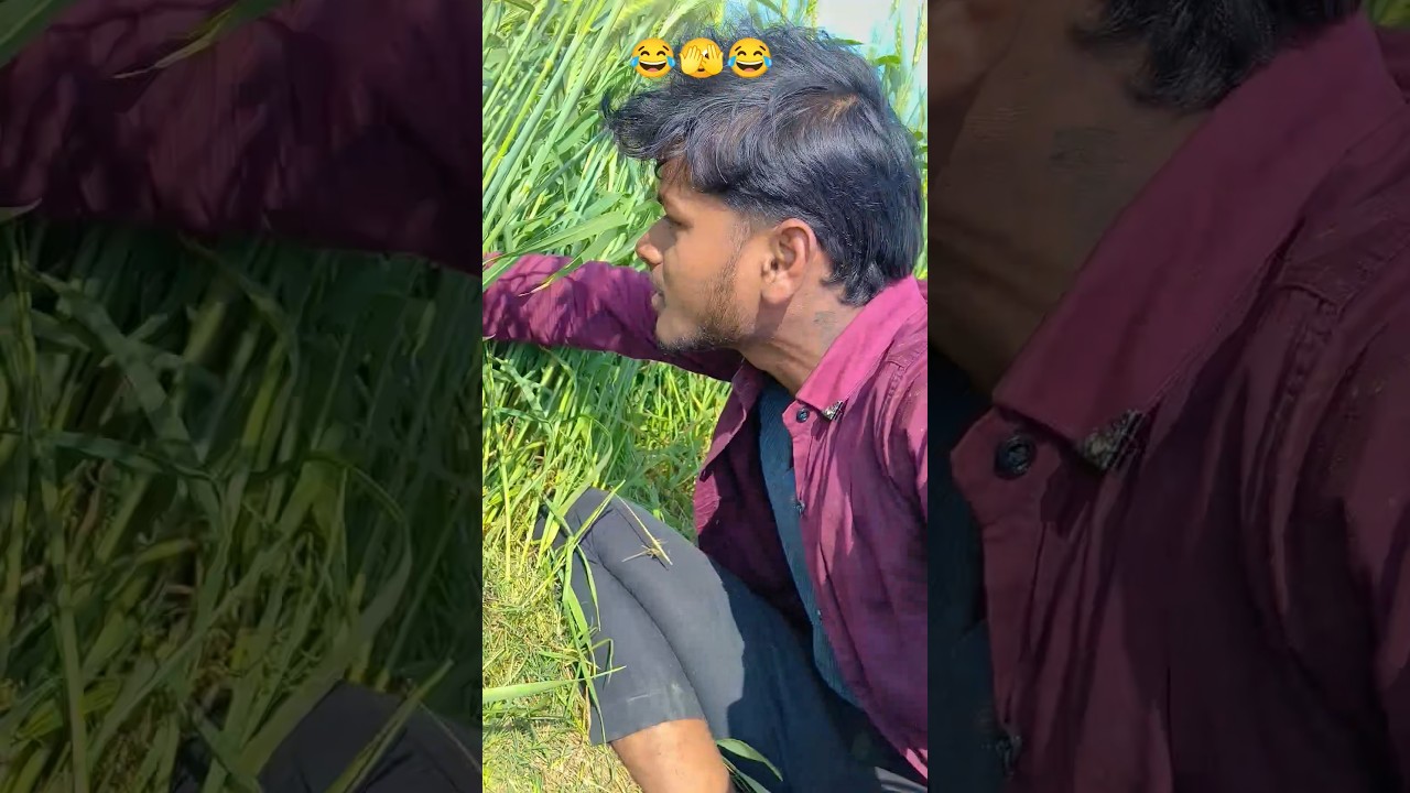 #cbum 😂👀🕊️