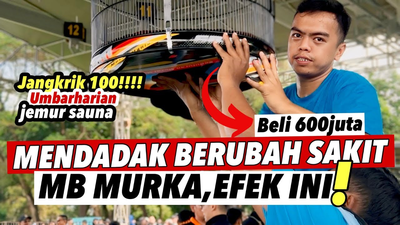 MASIH AMPUH‼️MB MURKA KONSLET GAYA KACER RUBAH RAWATAN||TAMPIL DIANNIVERSARY SMM KE-5