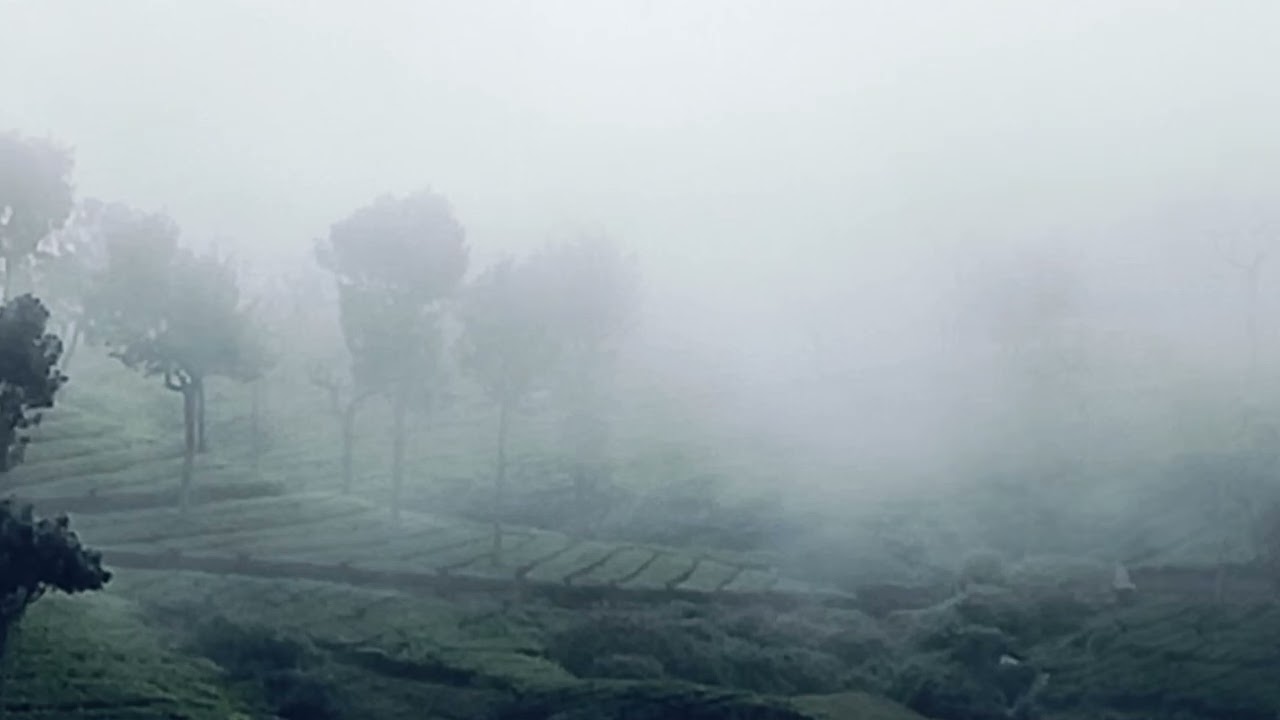 Coonoor - a day away from concrete forest