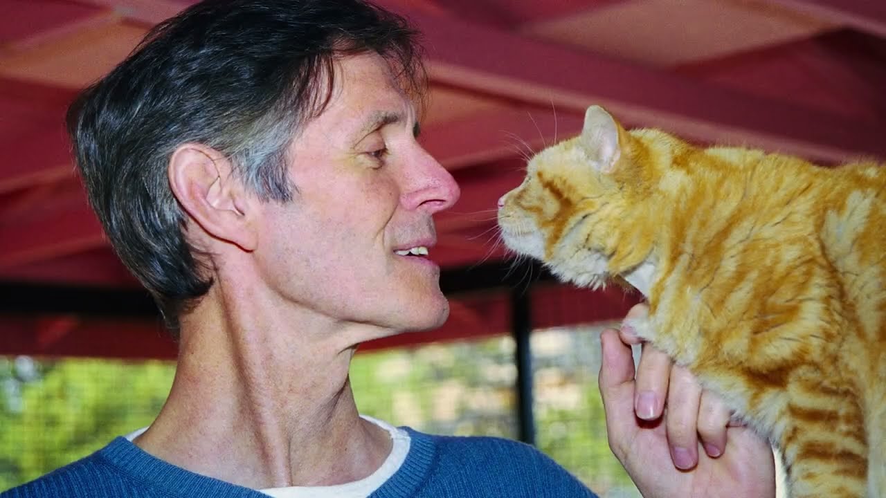 Remembering Gregory Castle, Best Friends Animal Society's co-founder and CEO