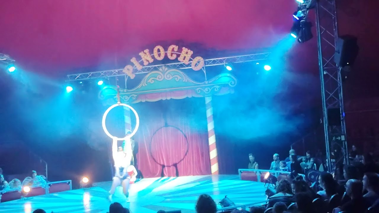 A Fada do circo 🎪 de pinocho 🤥 Santiago de Compostela 20-12-2024