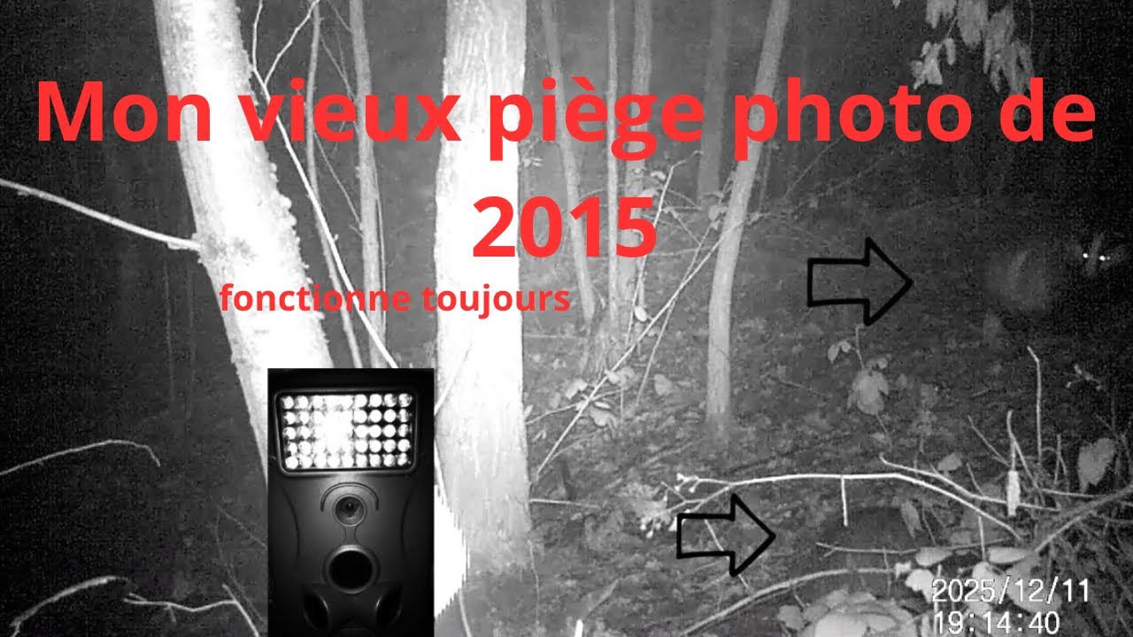 Mon vieux piège photo de 2015 fonctionne toujours