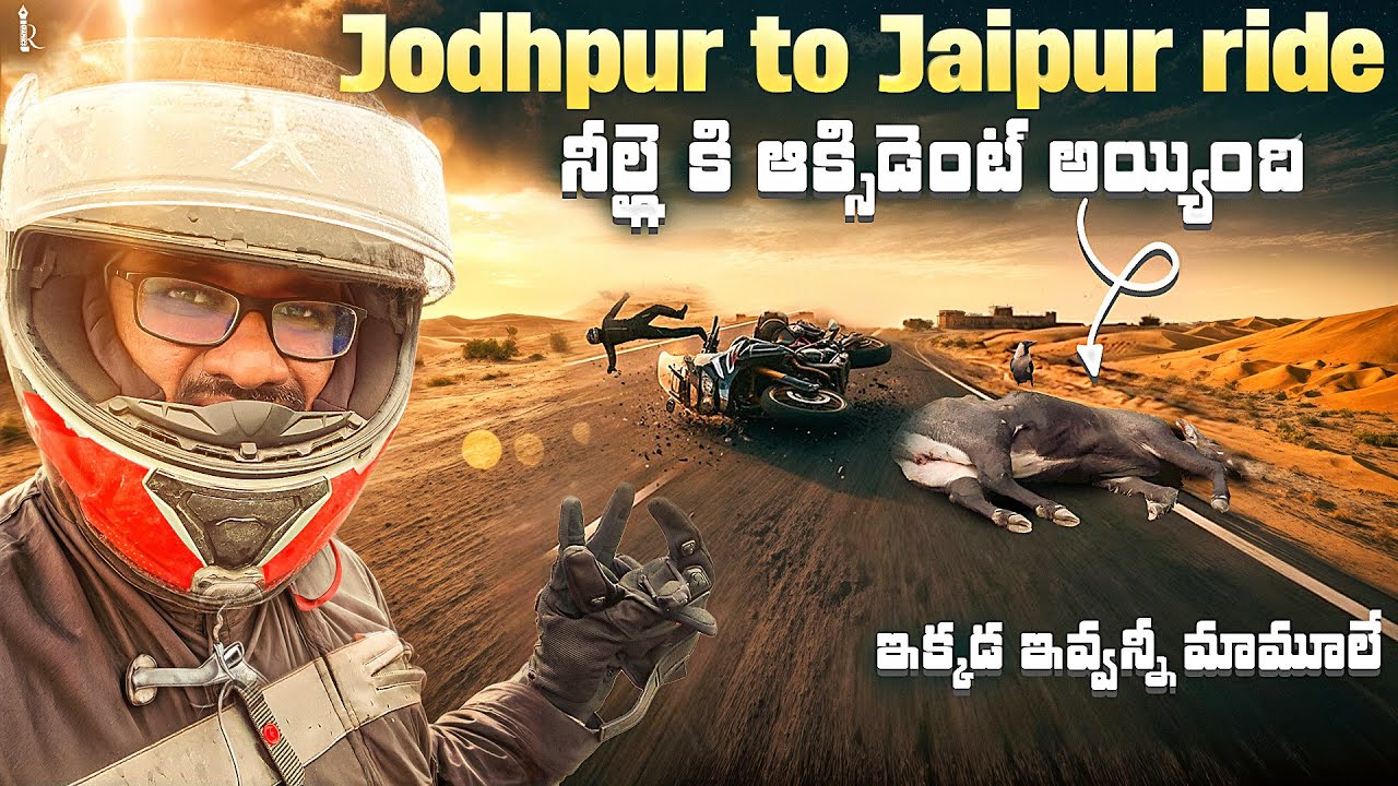 Jodhpur to Jaipur Bike Trip 🏍️ | Wild Animal Spotting 🐆🦌 | Rajasthan Road Trip Vlog
