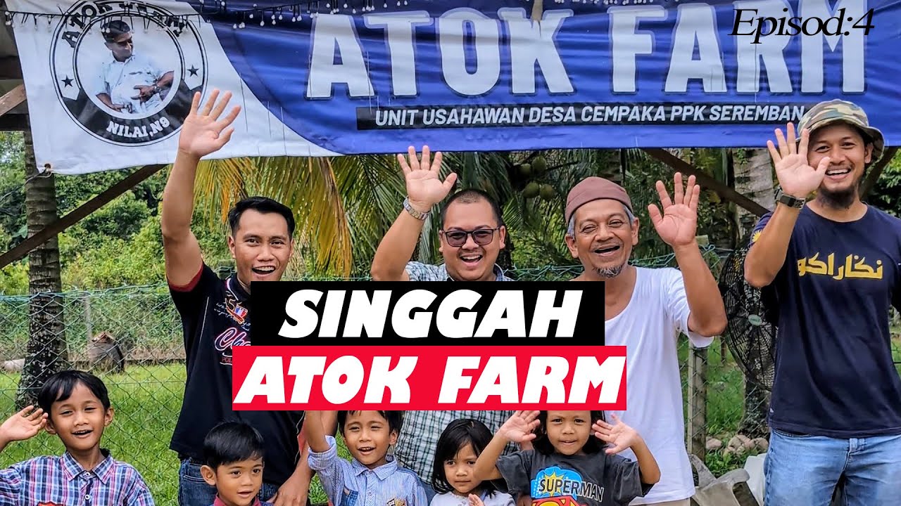 Singgah Atok Farm | Pelajari bagaimana mereka menguruskan ternakan