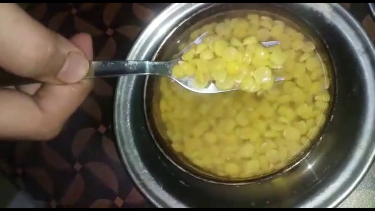 How To Prepare And Feed Chana Dal To Raw Baby Parrots Full Detail Video Info. In Hindi Full Process