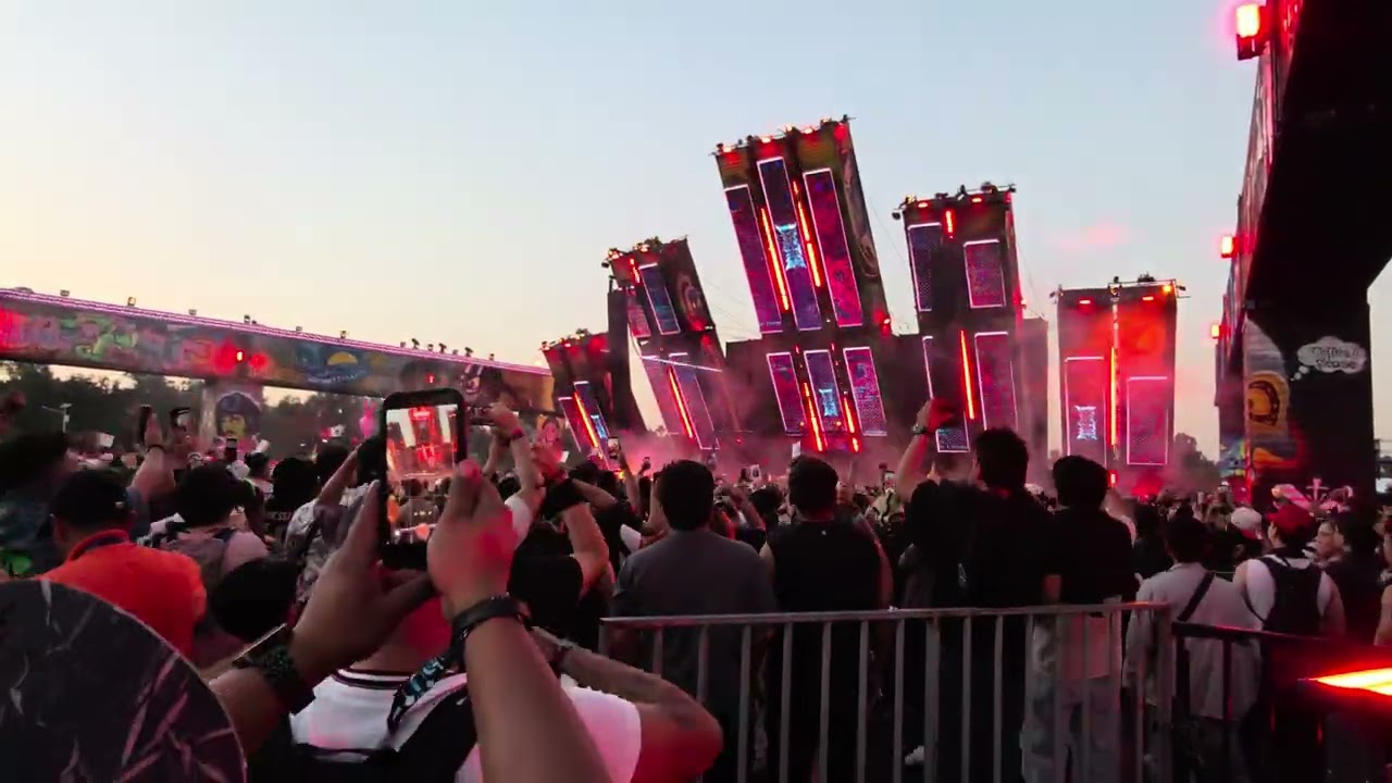 ID - If i lose myself tonight (Vertile) #edcméxico #wasteland 