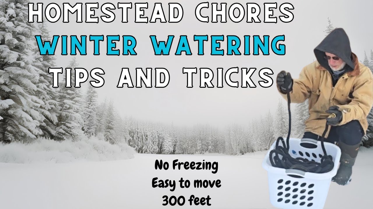 Работа по хозяйству — зимний полив — советы и рекомендации