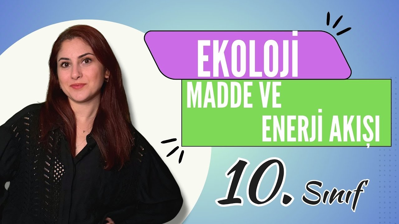 17) EKOLOJİ 3 - MADDE VE ENERJİ AKIŞI | 10. SINIF | TYT BİYOLOJİ DERS NOTLARI | 2024