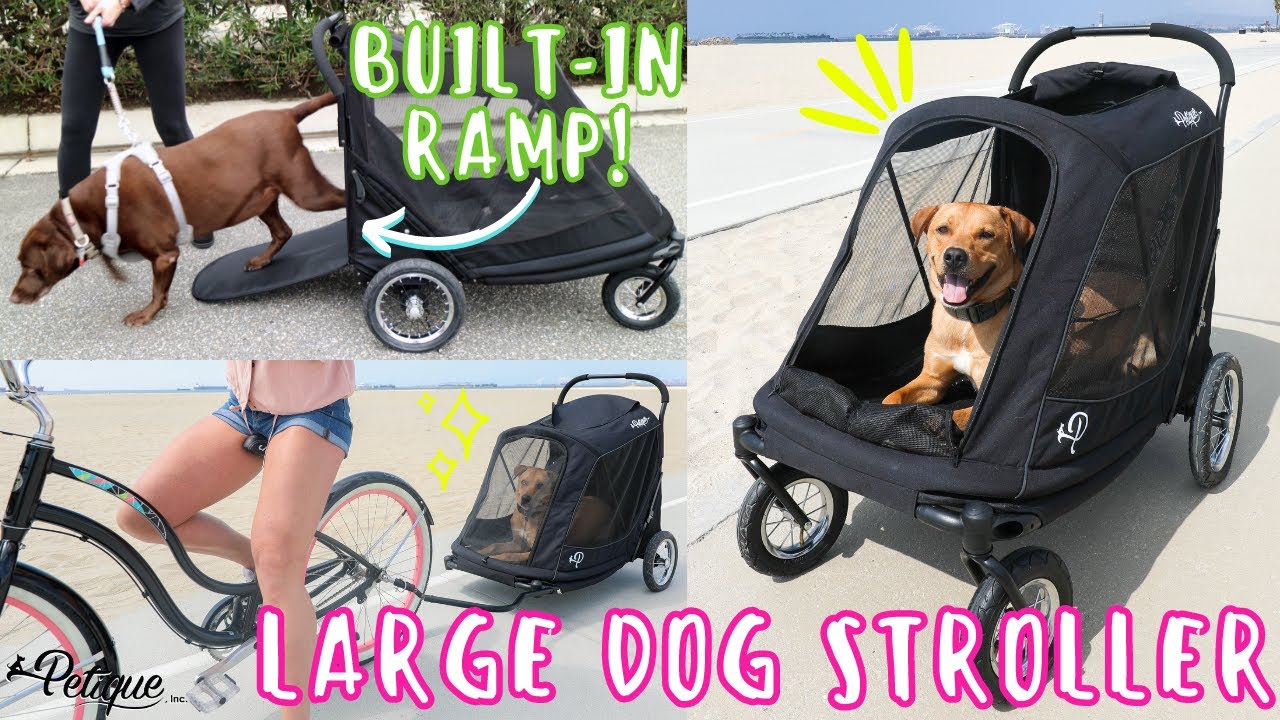 The ULTIMATE Big Dog Stroller | Built-In Ramp For Dogs Up to 133lbs! | Petique's Apollo Pet Stroller