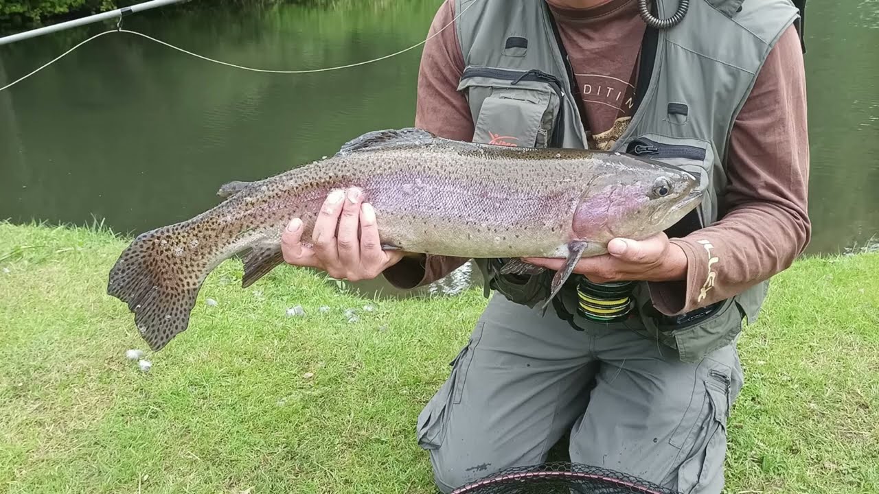 Pêche à la mouche aux sources d'éclimont
