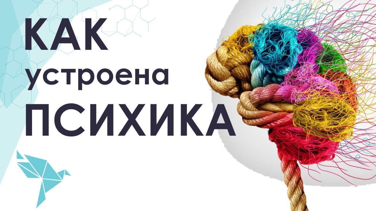 Что такое психика? Сознательная и бессознательная часть психики.