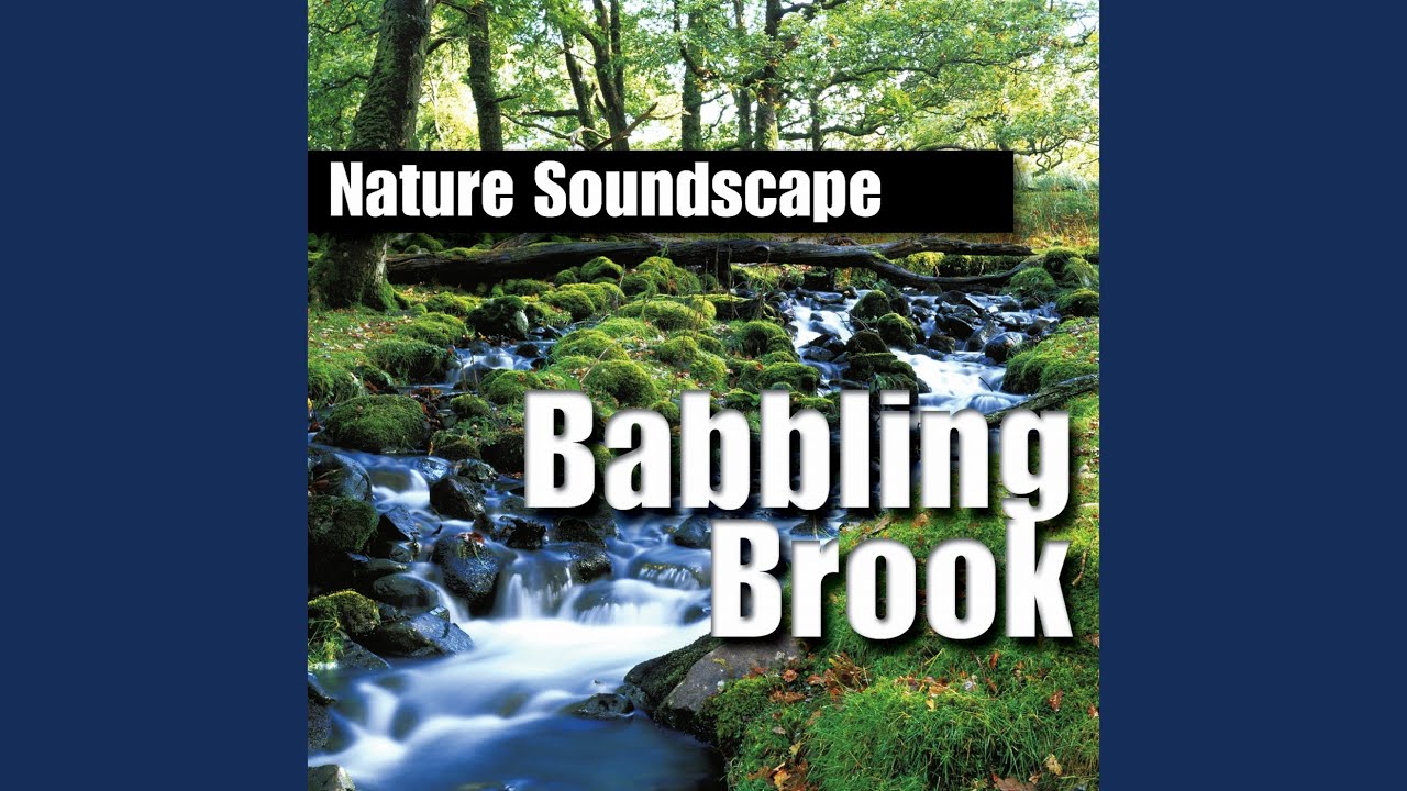 Babbling Brook (Nature Sounds Only)