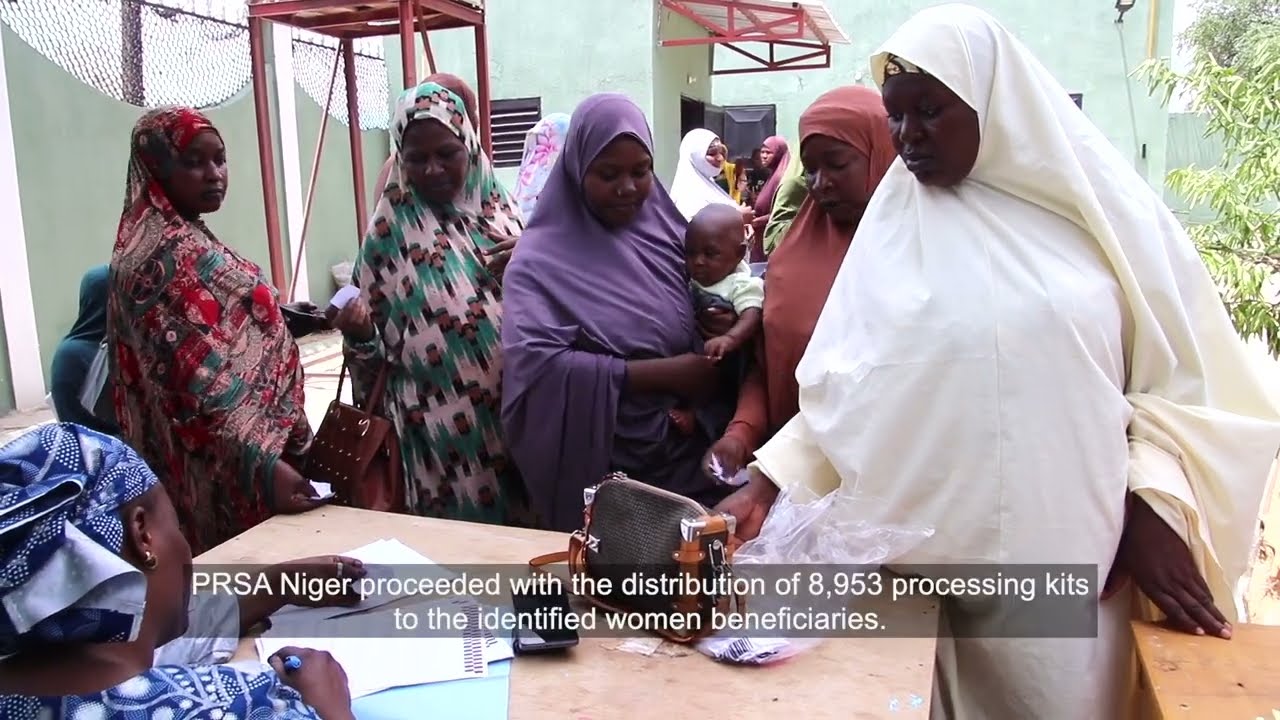 Renforcement de la résilience des femmes vulnérables au Niger