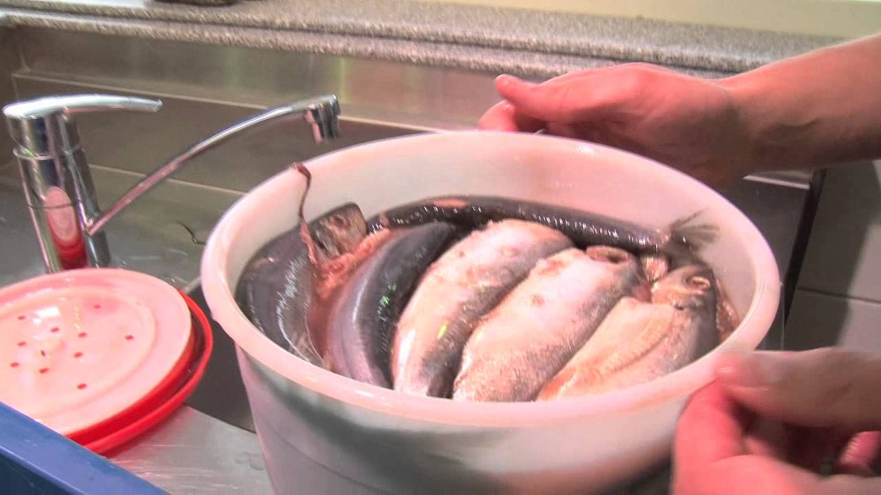 Vol van smaak Hollandse Nieuwe