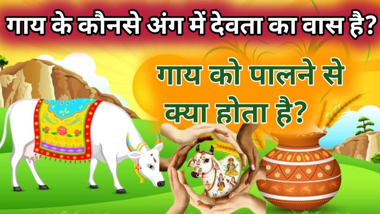 गाय के किस अंग में है कौन से देवता का वास ?गाय को पालने से क्या होता है?#pauaranik Katha