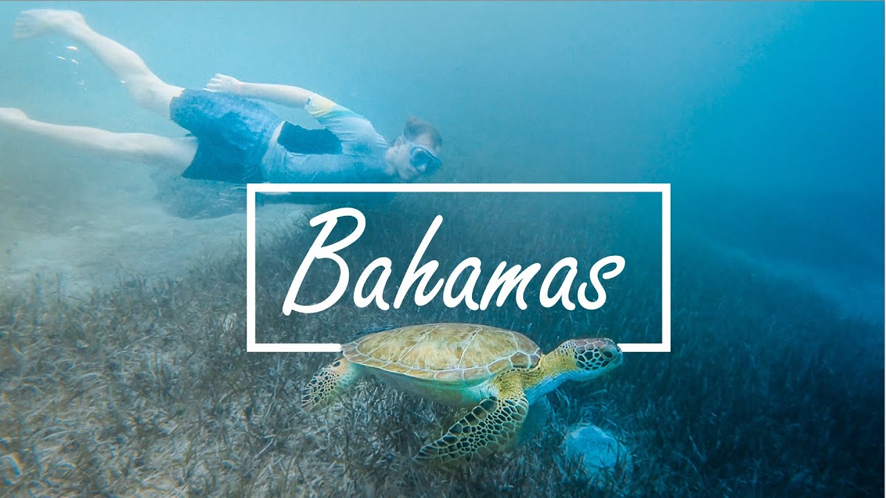 Paradise in Bahamas // cinematic video