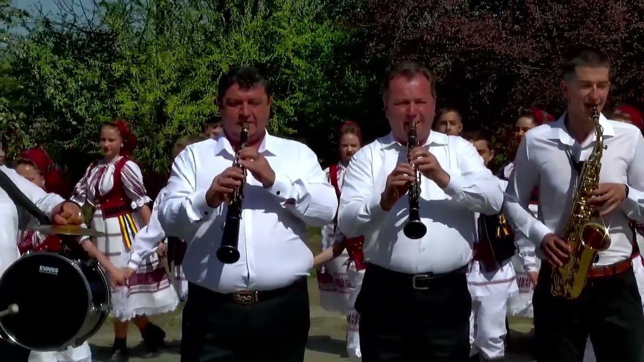 Taraful de la Bârsa   jud Arad