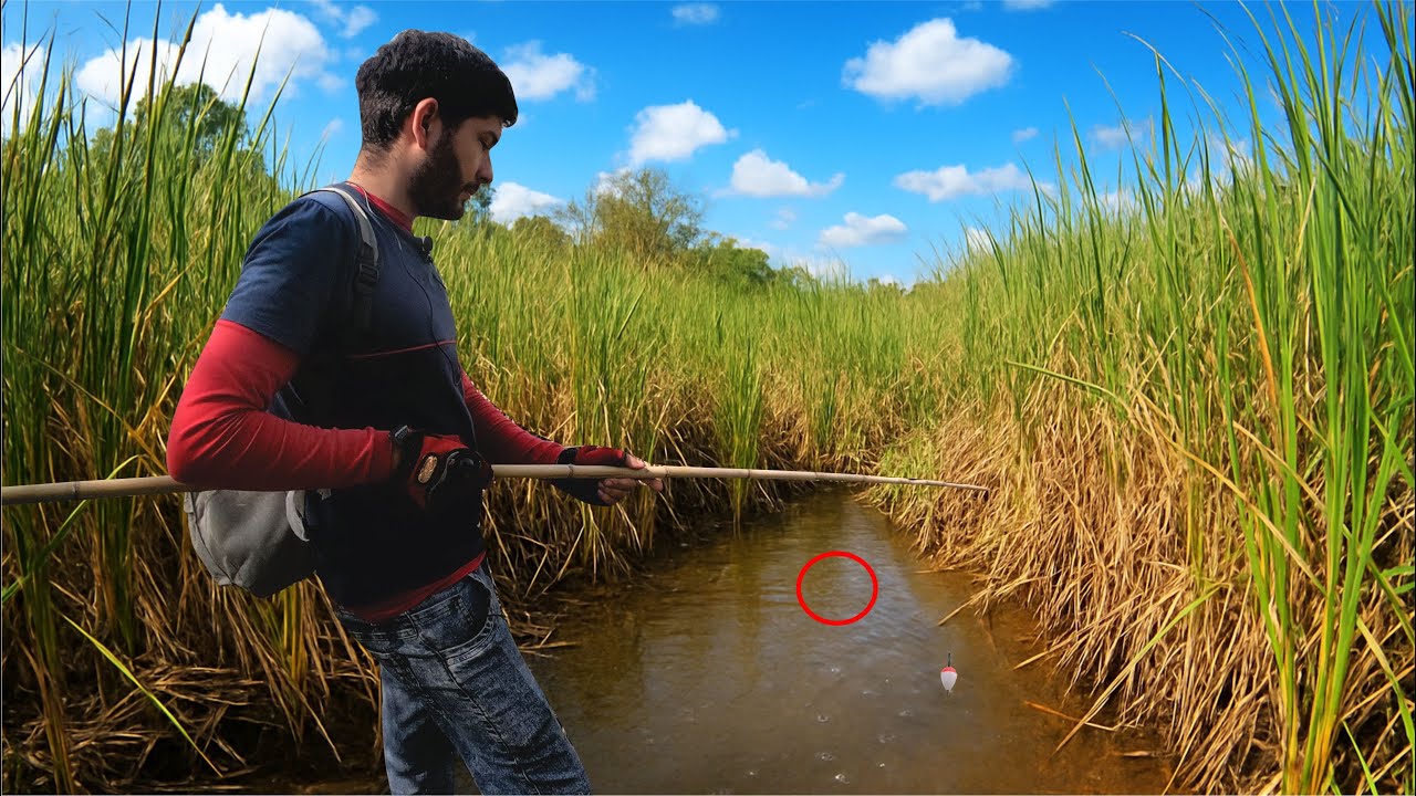 Aventura Pesquera en Moto 🏍️🎣 Riachos con cañita + Río Paraguay / 2 dias de Pesca.