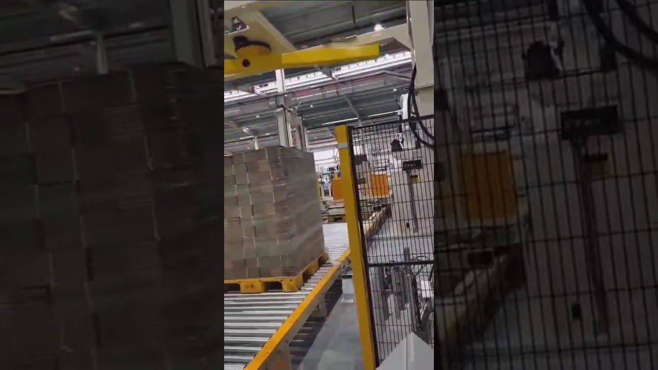 Robot Palletizer+Wrapping+Strapping machine