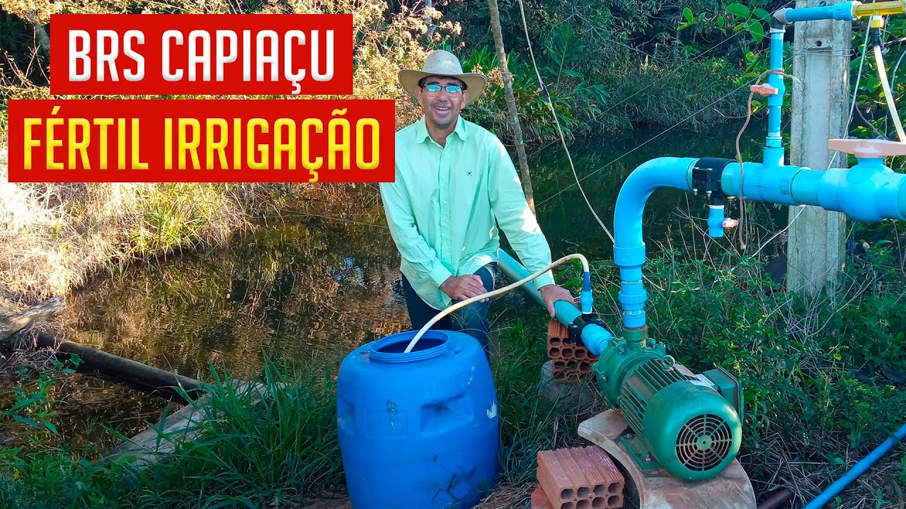 Como fazer ADUBAÇÂO no CAPIAÇU usando FERTIL IRRIGAÇÂO e nas PASTAGENS para grandes PRODUÇÕES