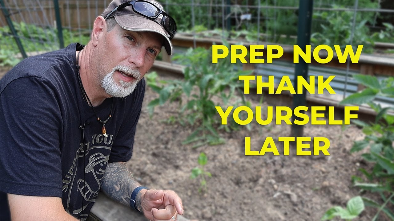 Do THIS in June for a Thriving July Garden