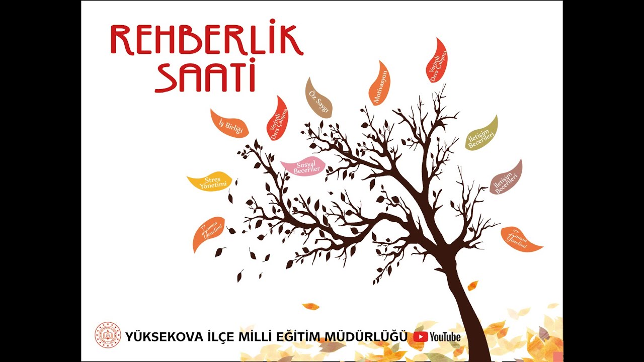 GÖRME ENGELLİ BİREYLER VE EĞİTİM SÜREÇLERİ - REHBERLİK SAATİ