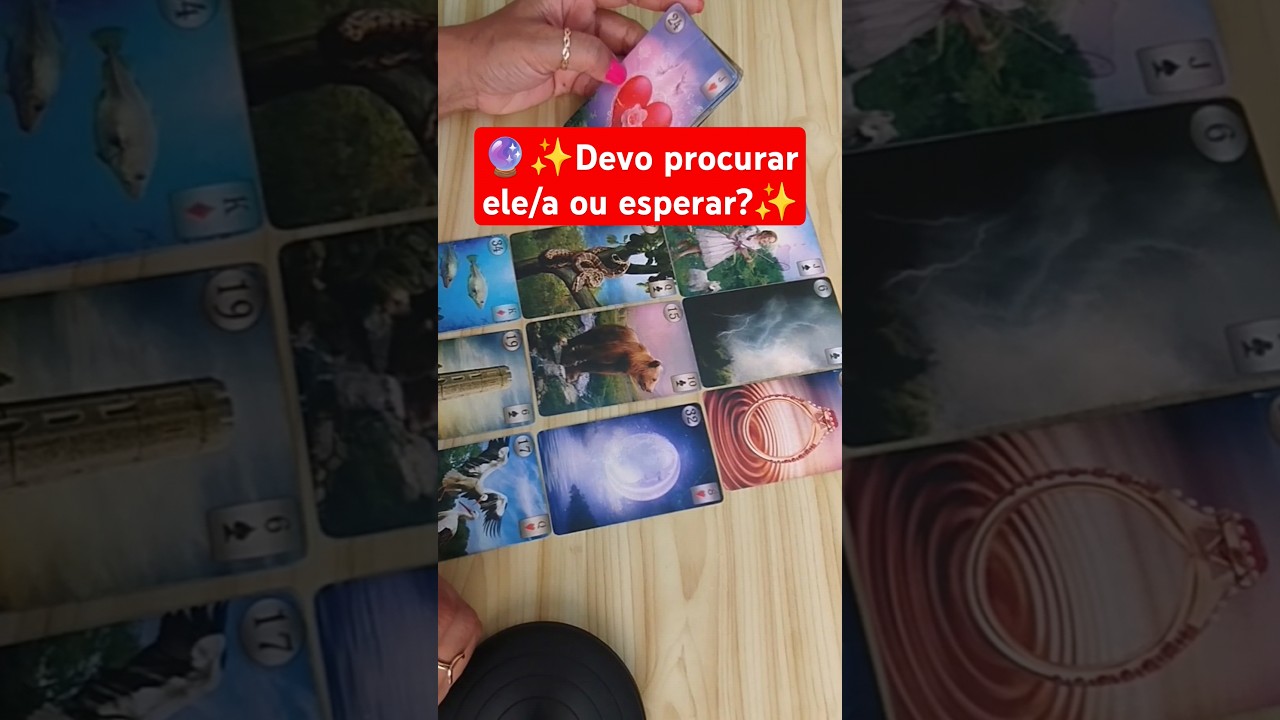 ✨ Devo procurar ele/a ou esperar? 11-94822-2049 #tarot#baralhocigano#amor