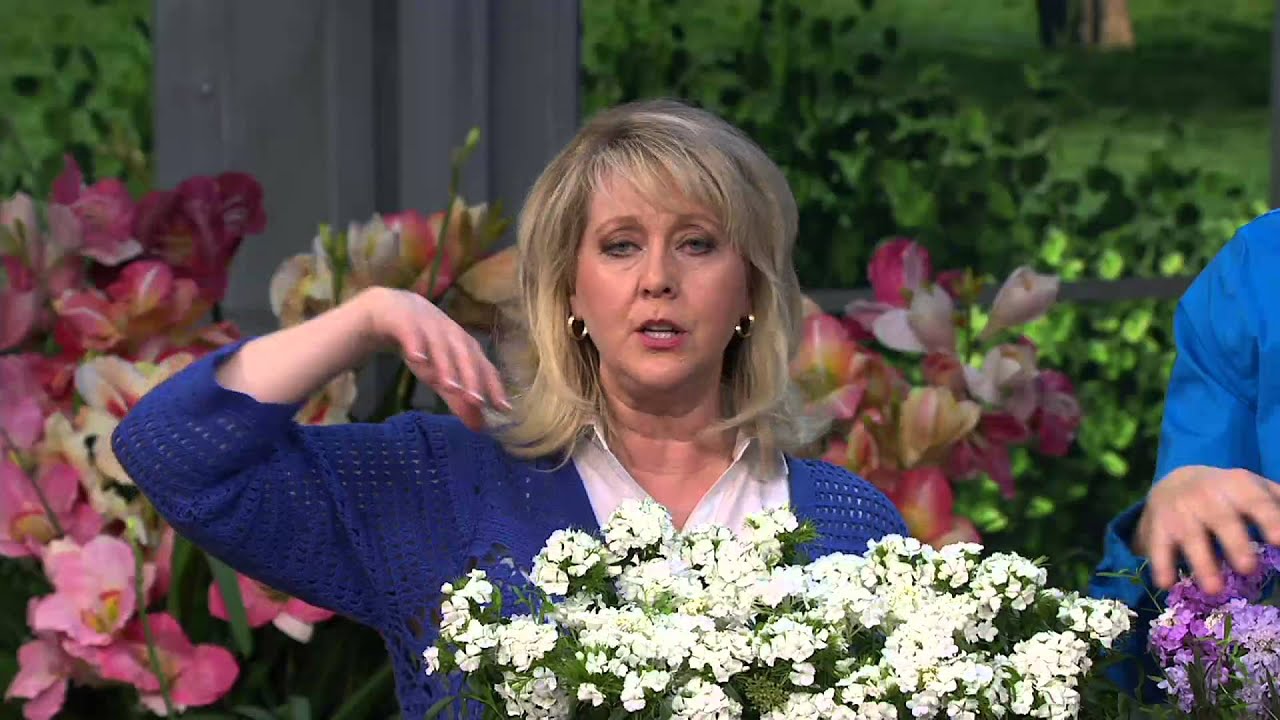 Roberta's 6-piece Early Flowering Sweet Candytuft on QVC