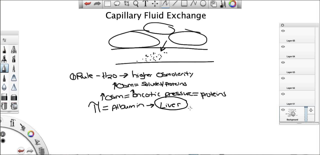 Oncotic Pressure