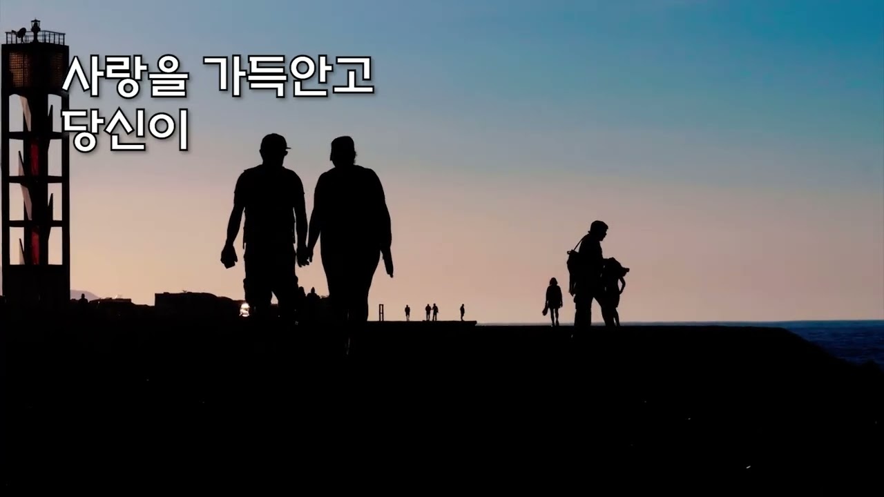 윤영신의 신곡 
