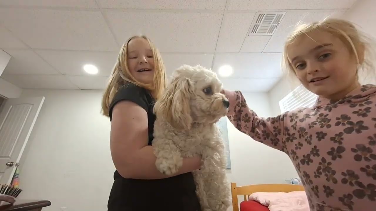 Hotdog!!!!#funny#cute#bella#shorts