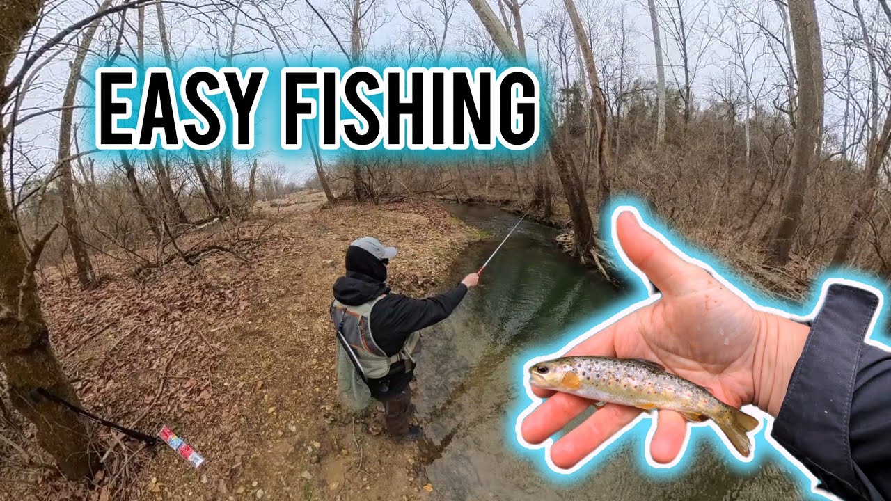 Easy way to Catch a Fish (Trout) - Beginner Friendly fishing 