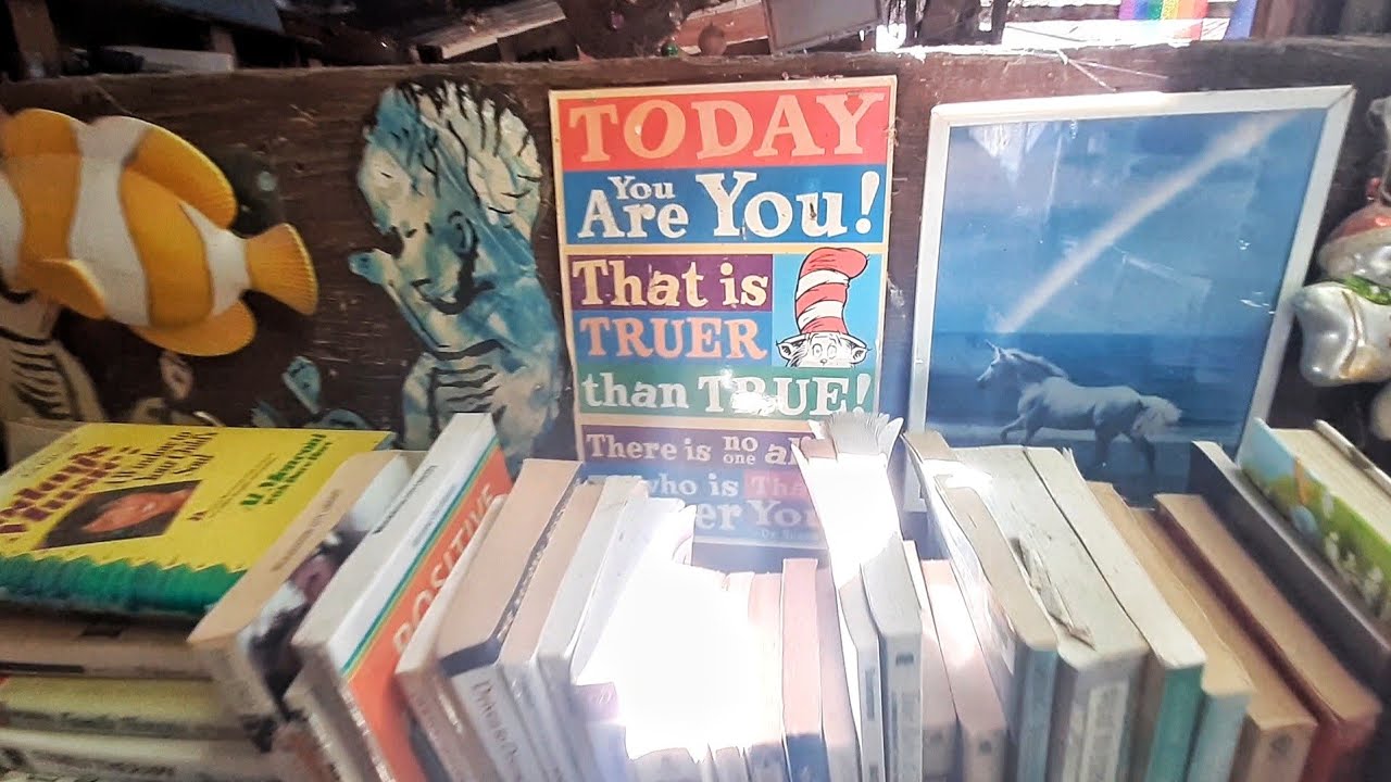 Exploring the Slab City Library. A peaceful safe space. Bring books, just no more romance novels