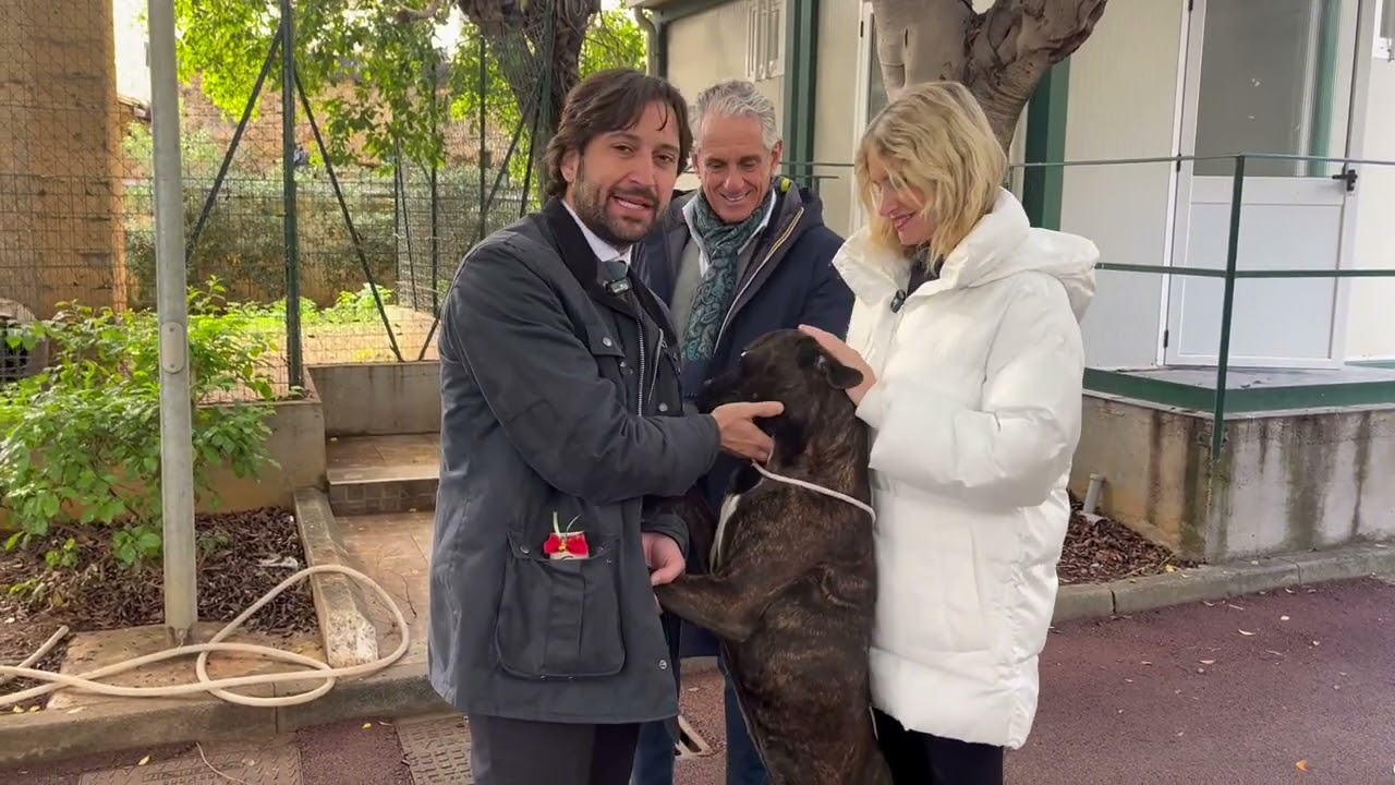 I cuccioli del canile di Palermo cercano casa. L'intervista di Licia Raimondi