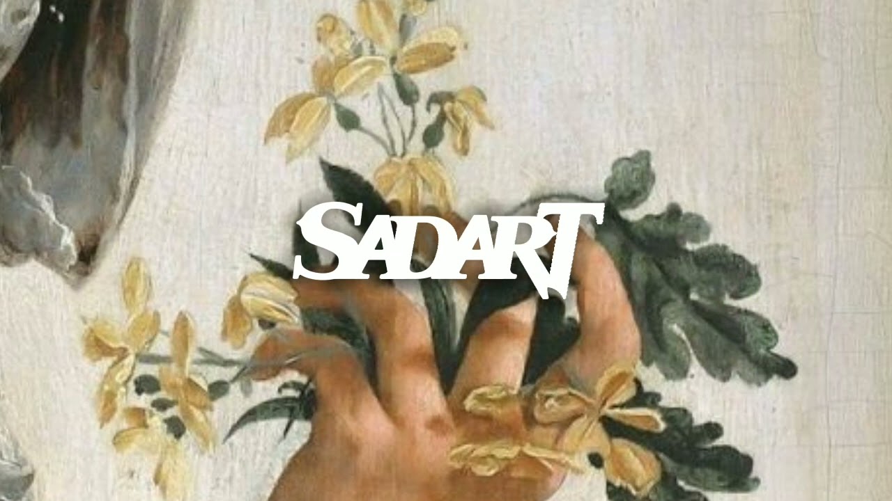 wish i didn't know you - shy martin (slowed + reverb)