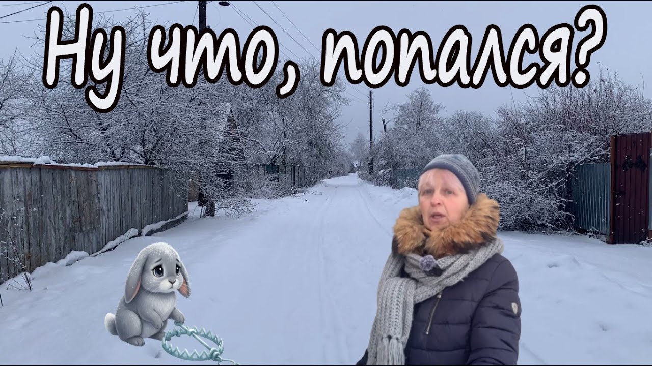 ЗАЯЦ ПОПАЛСЯ В КАПКАН! ЧТО ДАЛЬШЕ? | ЖИВУ НА КРАЮ ДЕРЕВНИ.