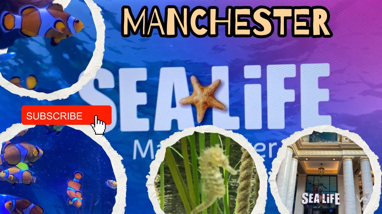 SEA LIFE 🐠Manchester/Full Tour Magical underwater world/Trafford Centre