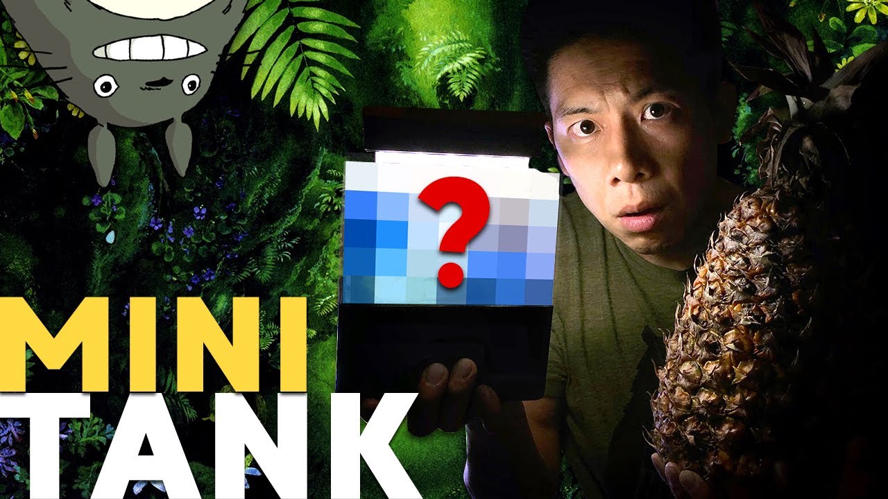I'M BACK! NEW Tank Build!! (Mini Complete Tank)
