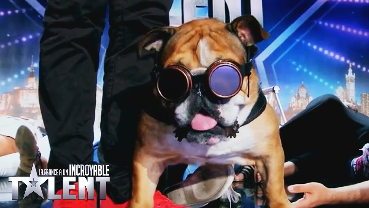 Hypnoteam - France's Got Talent 2016 - Week 5