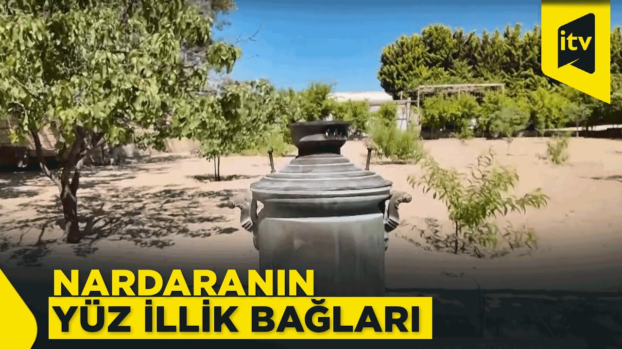 Nardarandan əsl bağ görüntüləri