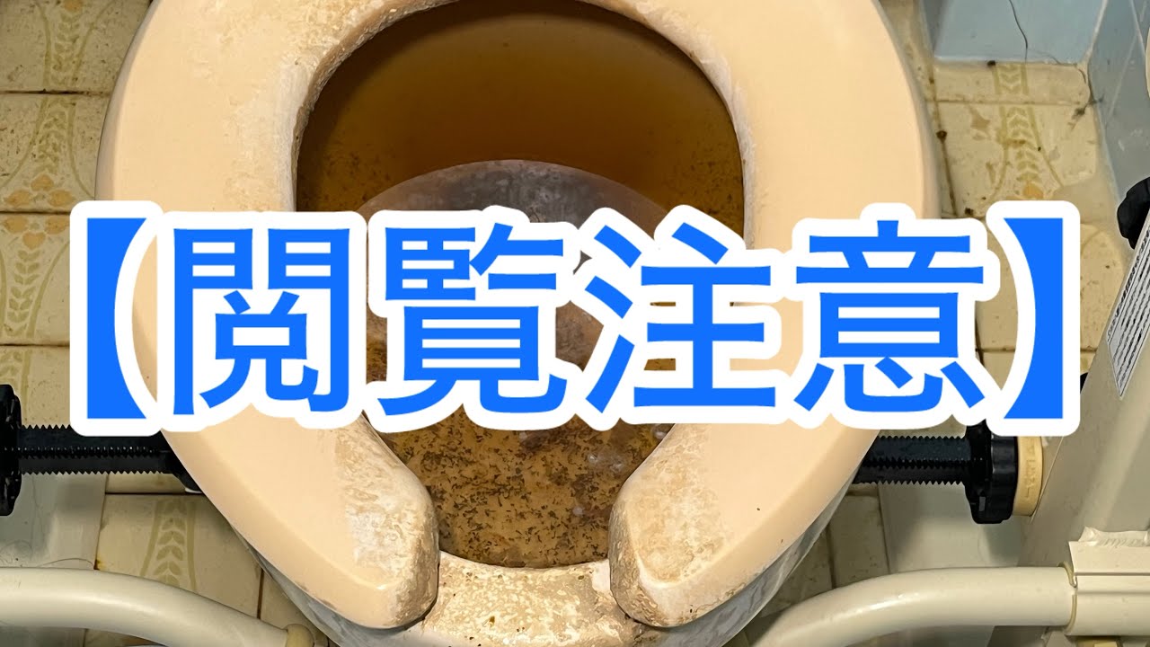 【閲覧注意】トイレ詰まり 流すと上まで上がってくる 溢れそう…